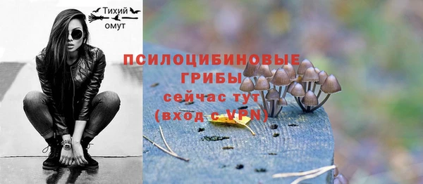 Альфа ПВП Пролетарск